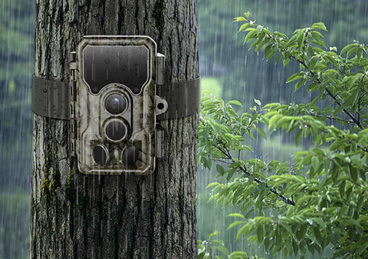 SJCAM M50 Taiga Green Hunting Trail Camera WiFi IP65 Waterproof Night Vision - TECHOBOOM